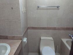 Tanglin Regency (D10), Condominium #613512241
